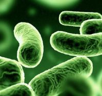 Improve water quality